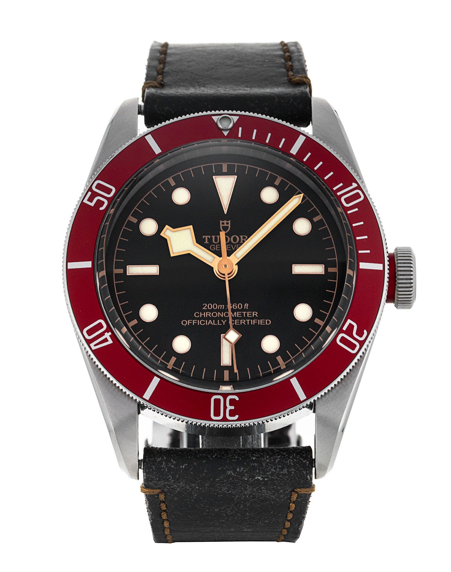 Tudor Black Bay M79230R-0011 254011